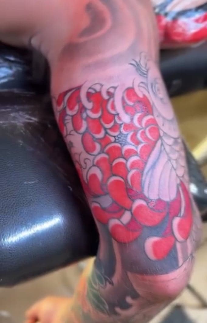 Fresh red chrysanthemum petals in Japanese style wrapping an elbow
