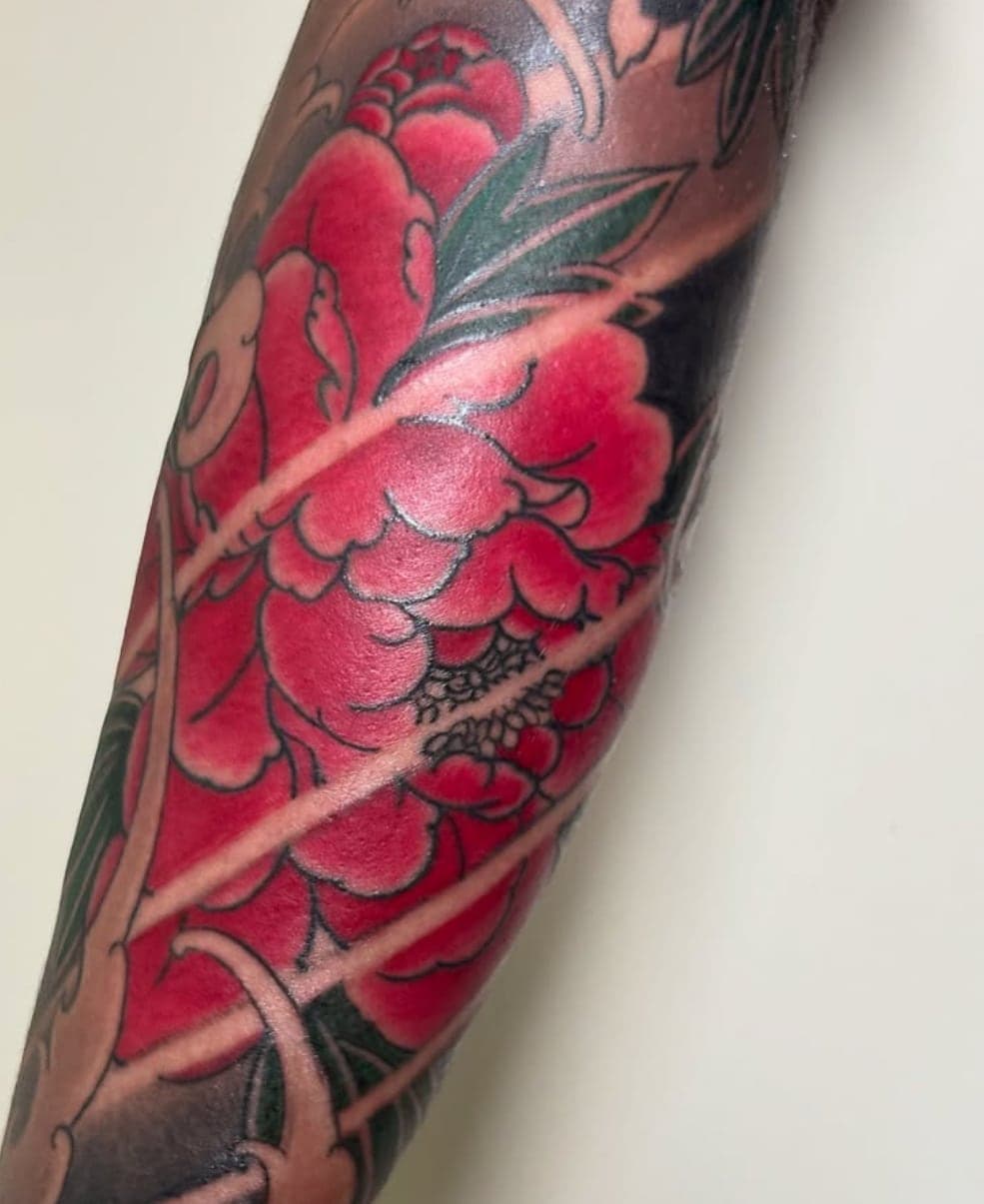 Red peonies with dark leaves flowing along a forearm, Japanese sleeve work in progress