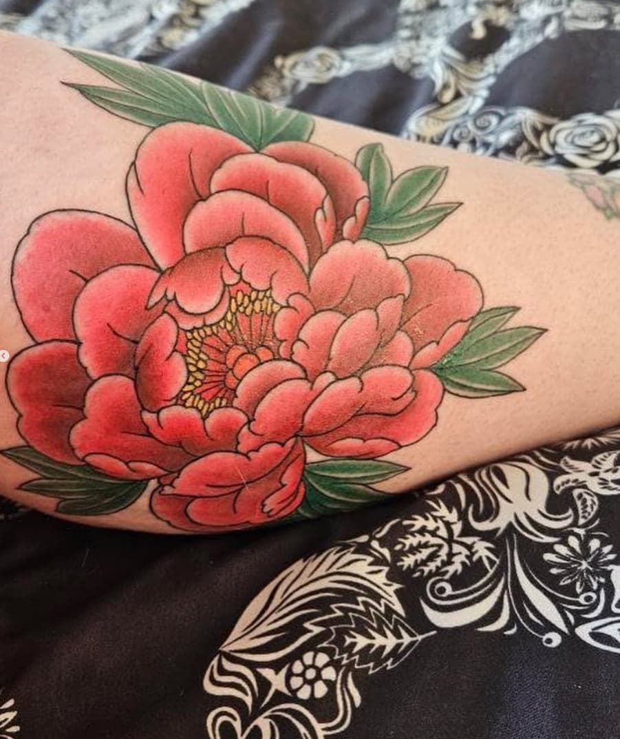 Large Japanese-style peony in full red and pink color with green leaves, on a thigh